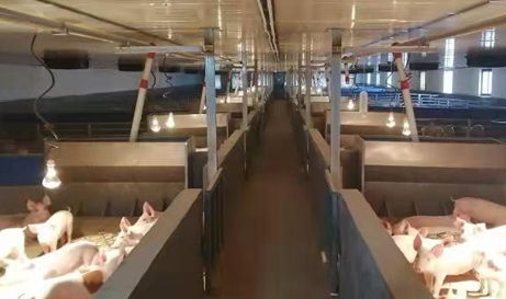 葉縣 招商引資風(fēng)頭勁，鄉(xiāng)村振興活力增，科技中介服務(wù)賦能發(fā)展新格局