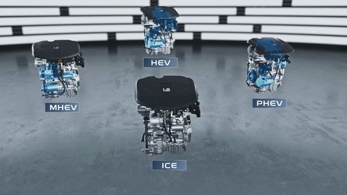 15年后無(wú)純?nèi)加蛙?chē) 新能源技術(shù)路線(xiàn)2.0 發(fā)布 這家車(chē)企眼光太牛了